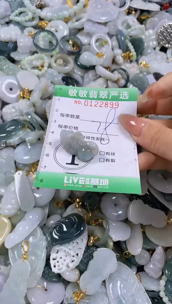 【闪购商品】翡翠颈饰未镶嵌闪购0122899