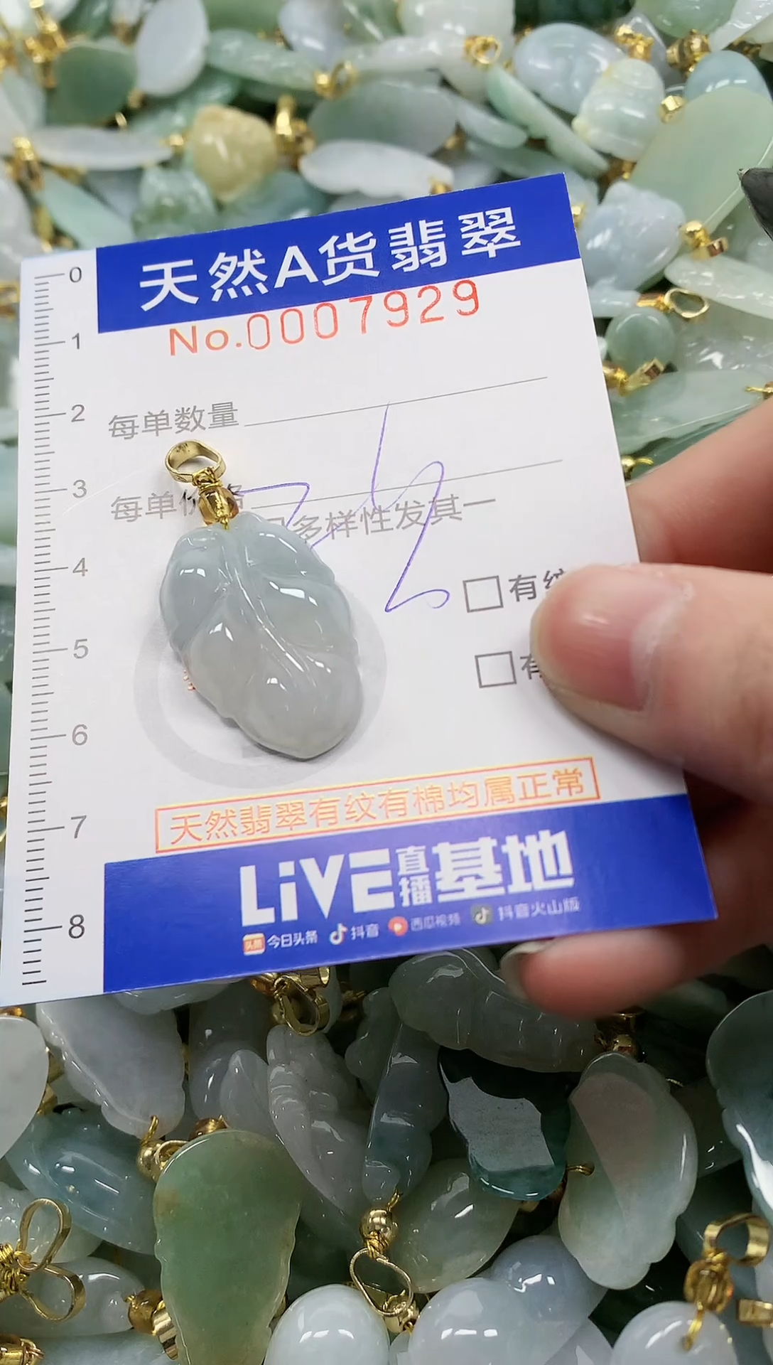 颈饰未镶嵌翡翠纯天然a货翡翠