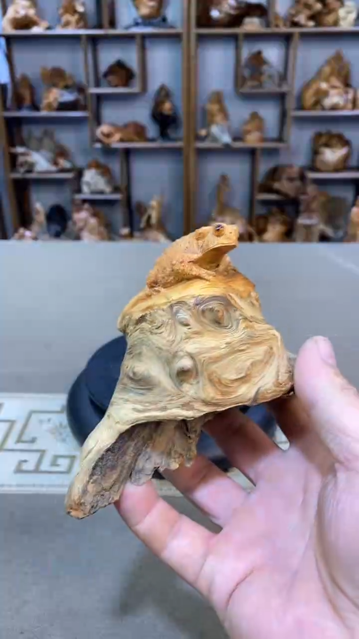 【闪购商品】柏木（崖柏）崖柏