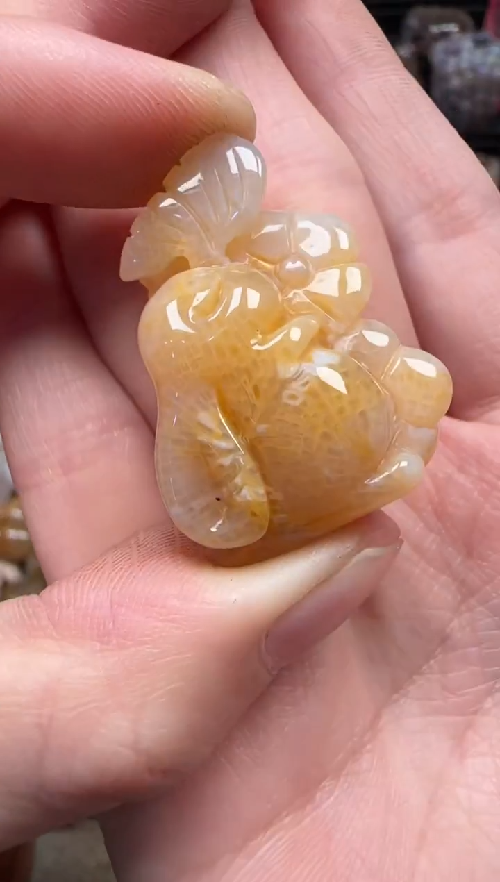 颈饰未镶嵌硅化珊瑚（珊瑚玉）140