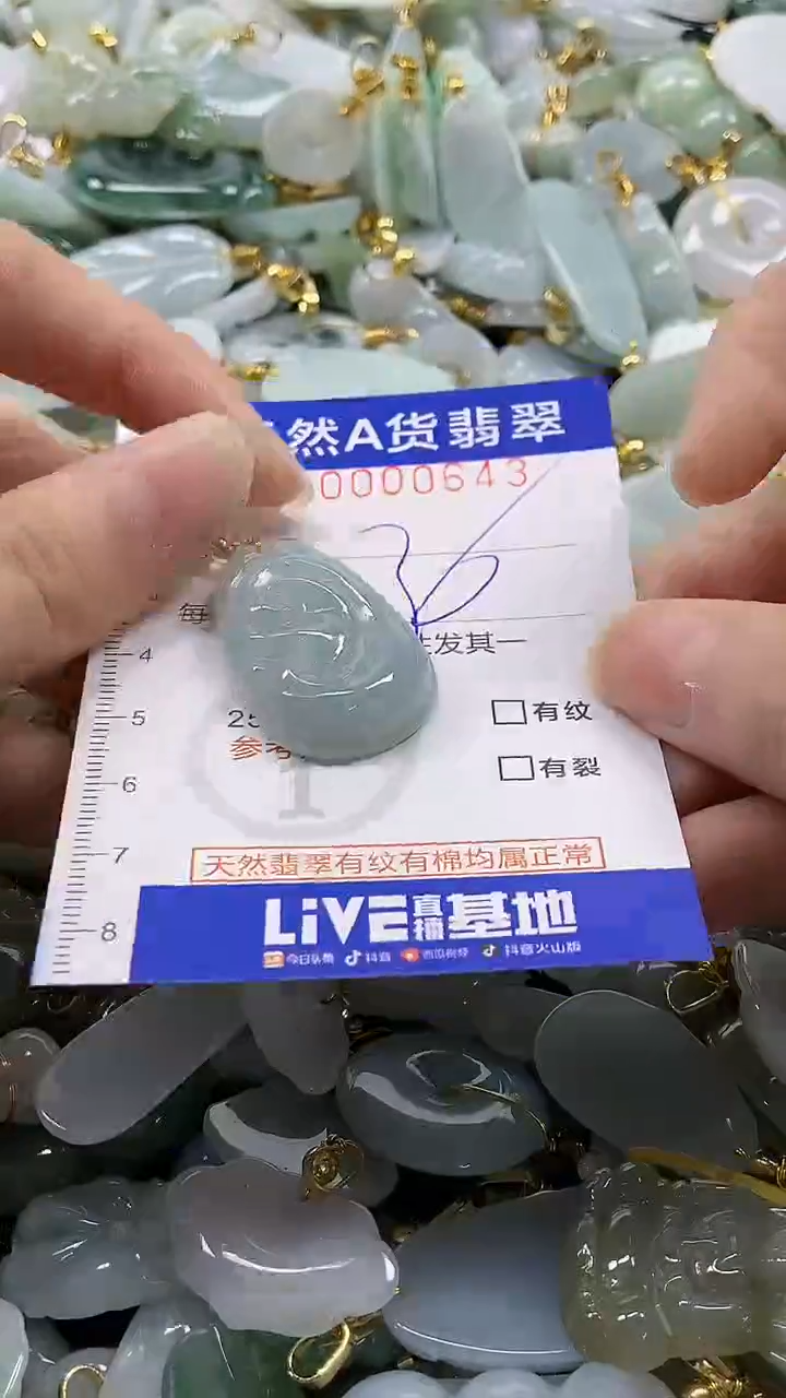 颈饰未镶嵌翡翠纯天然a货翡翠