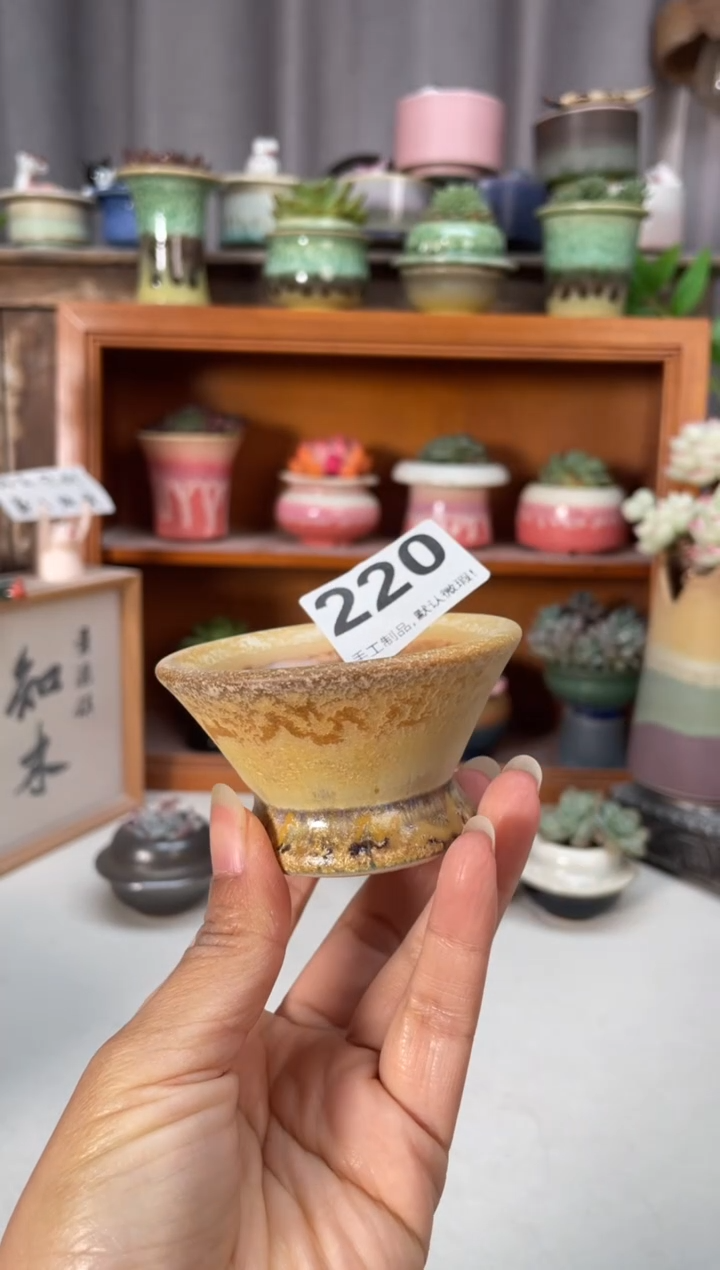 瓷片220知木小芳花盆