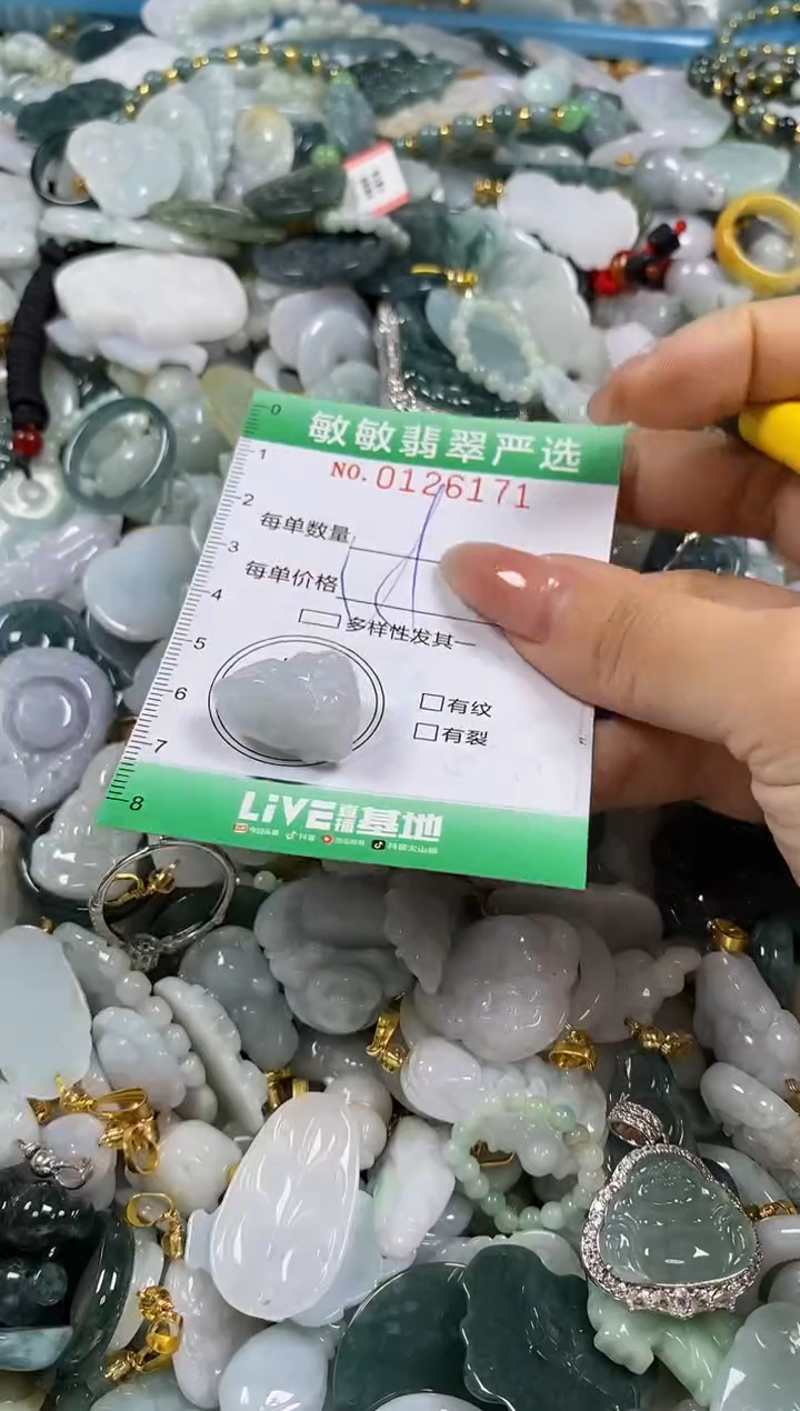 【闪购商品】翡翠颈饰未镶嵌闪购0126171