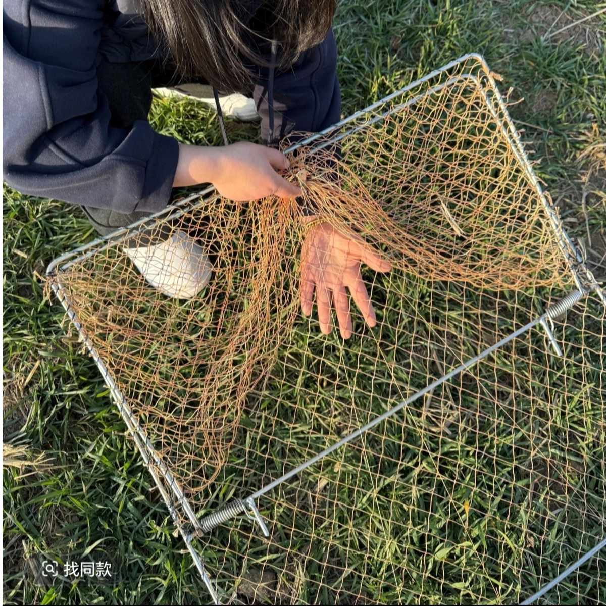 视频同款家用家禽养殖自动收鸡鸽笼户外围栏网框架一体结实耐磨