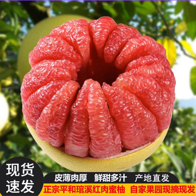 正宗福建红心柚子当季新鲜水果超甜应季红肉孕妇蜜柚现货整箱包邮