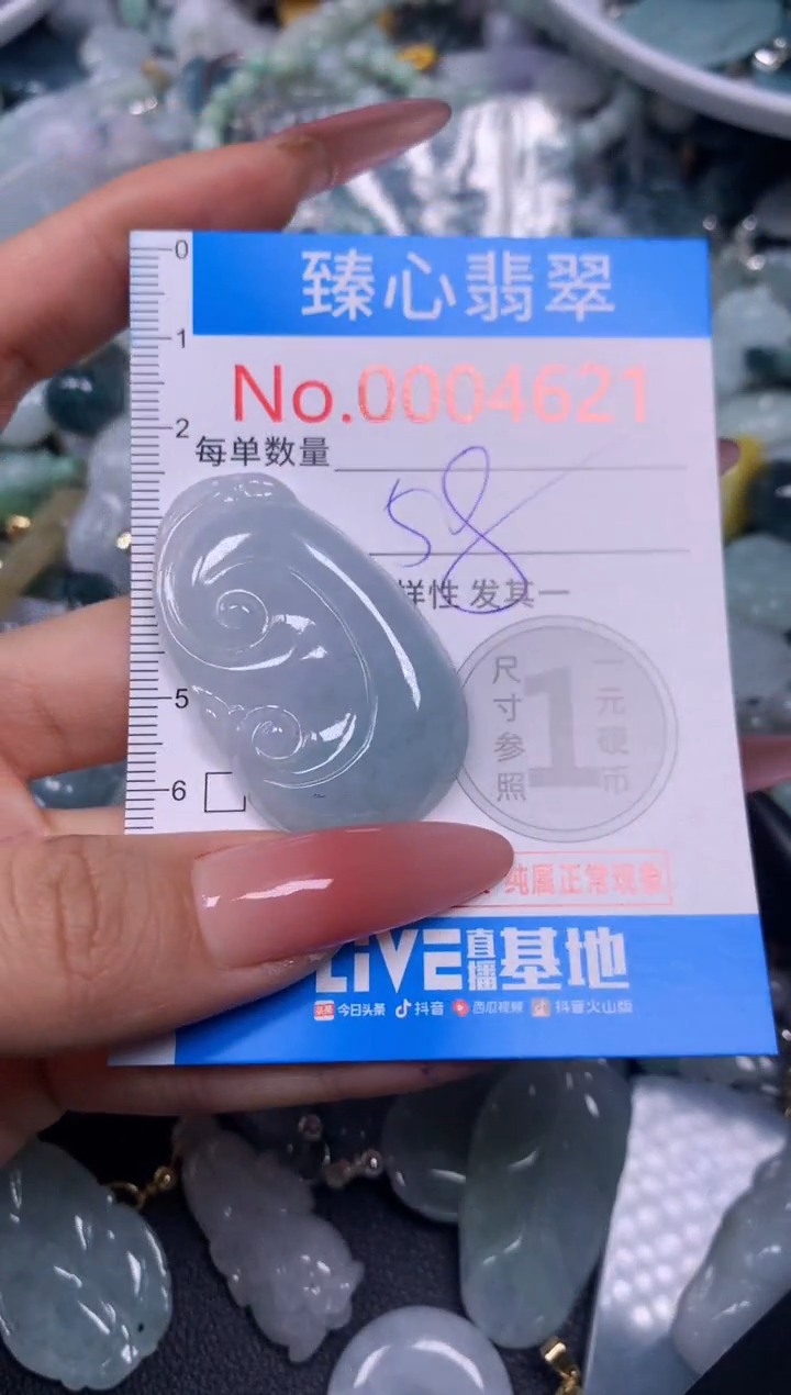 【闪购商品】翡翠颈饰未镶嵌含绳0004621