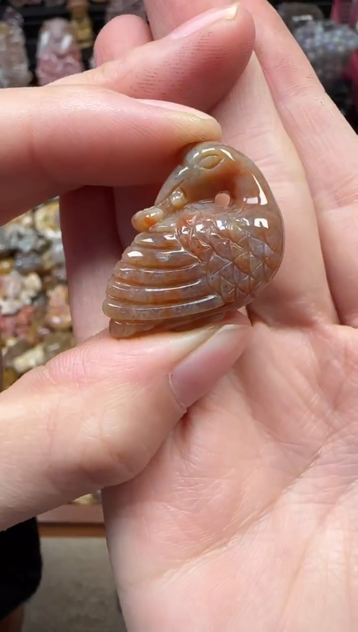 颈饰未镶嵌硅化珊瑚（珊瑚玉）248