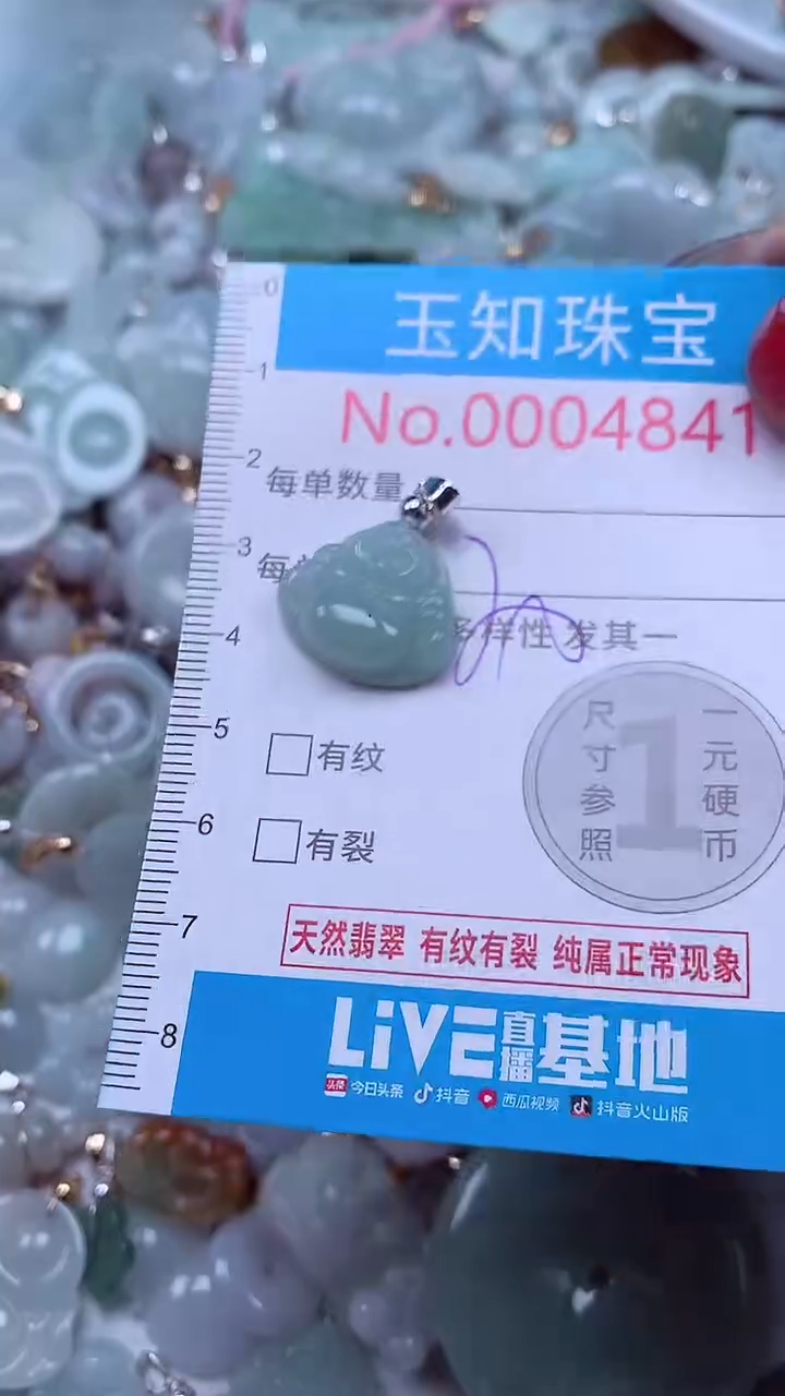 吊坠(不含链)未镶嵌翡翠4841