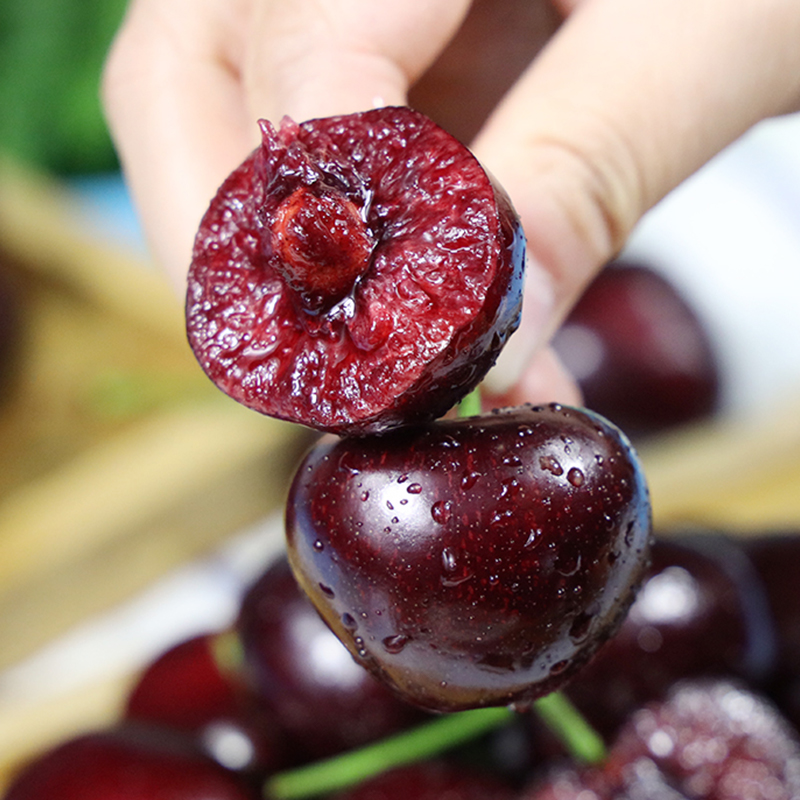 【同城送货上门】吉制车厘子XL级樱桃净重1斤装2斤装红心清甜当季水果有硬度空运到货新鲜桑提娜