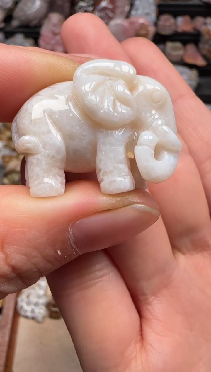 【闪购商品】硅化珊瑚（珊瑚玉）颈饰未镶嵌209