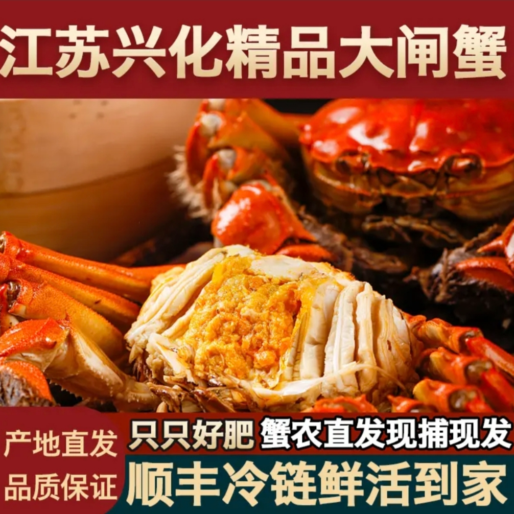 【活蟹现发】江苏红膏大闸蟹公5.8-6.1两8只
