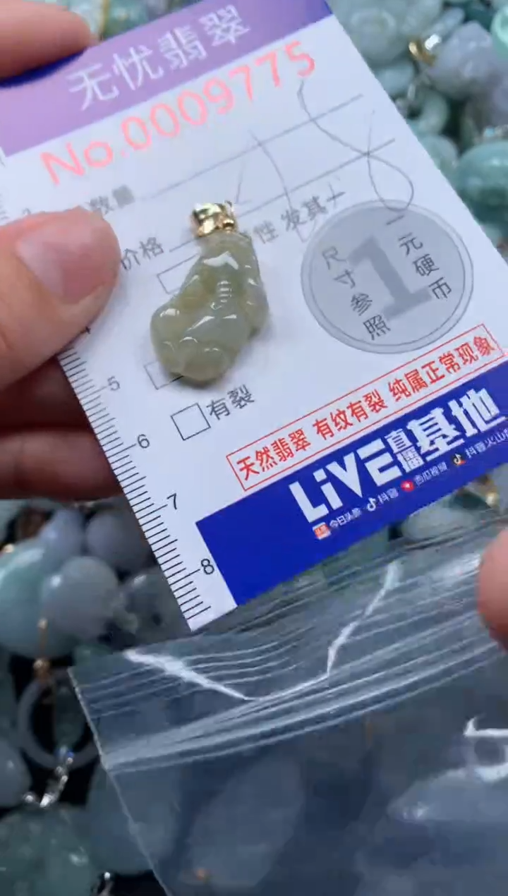 颈饰未镶嵌翡翠9775