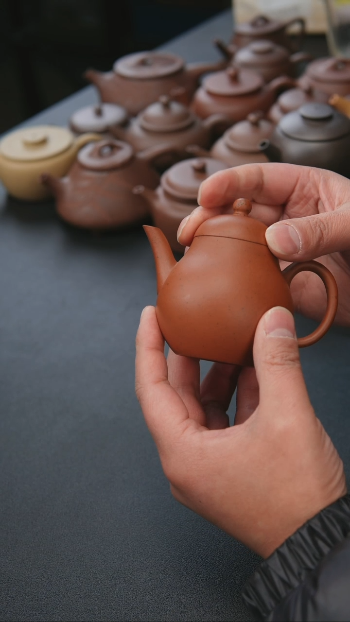 【闪购商品】紫砂茶宠紫砂壶朱泥高梨130毫升