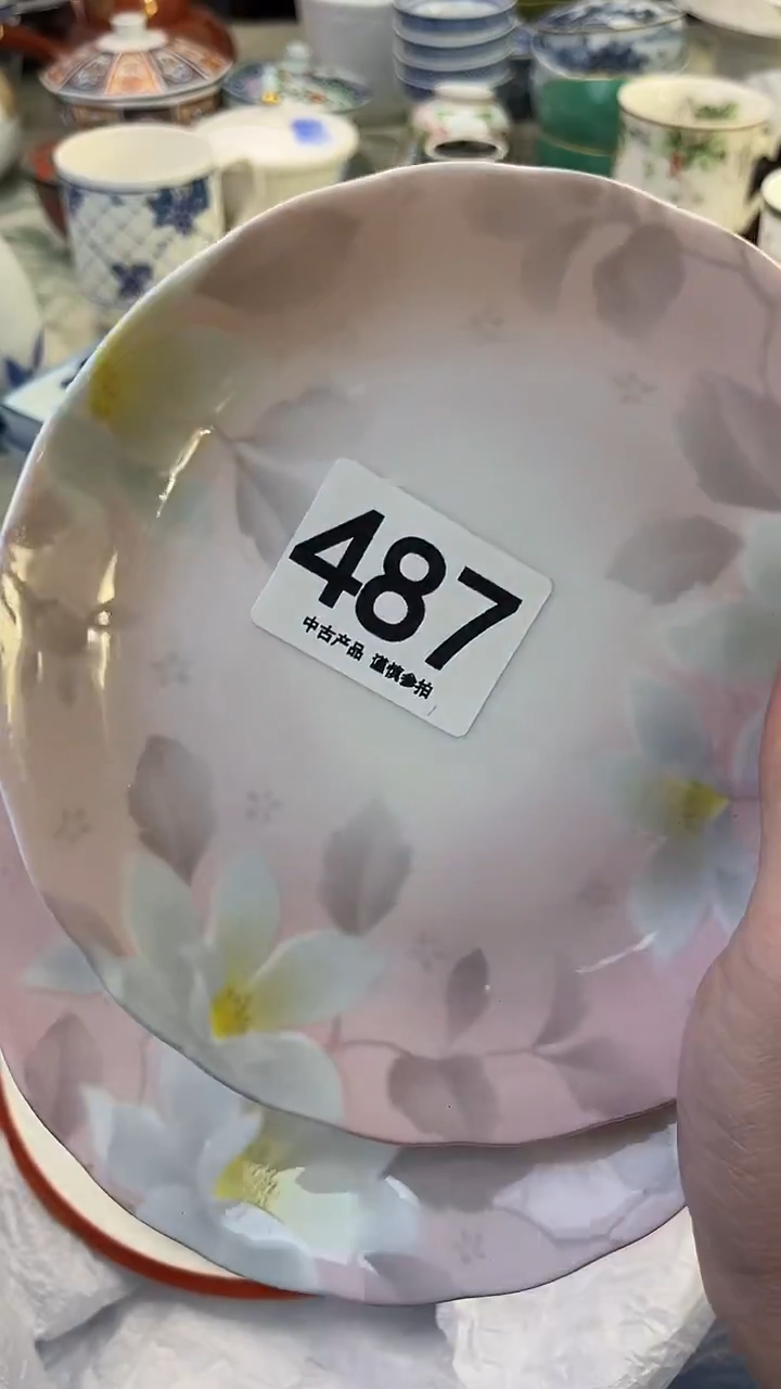 瓷片(****?487........