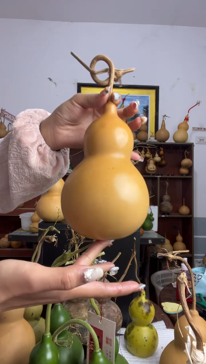 507天然葫芦摆件 一物一拍龙头不保售后