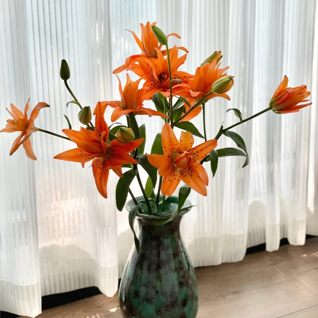 [豹纹橘]百合 一单包邮 云南鲜花昆明基地现采现发