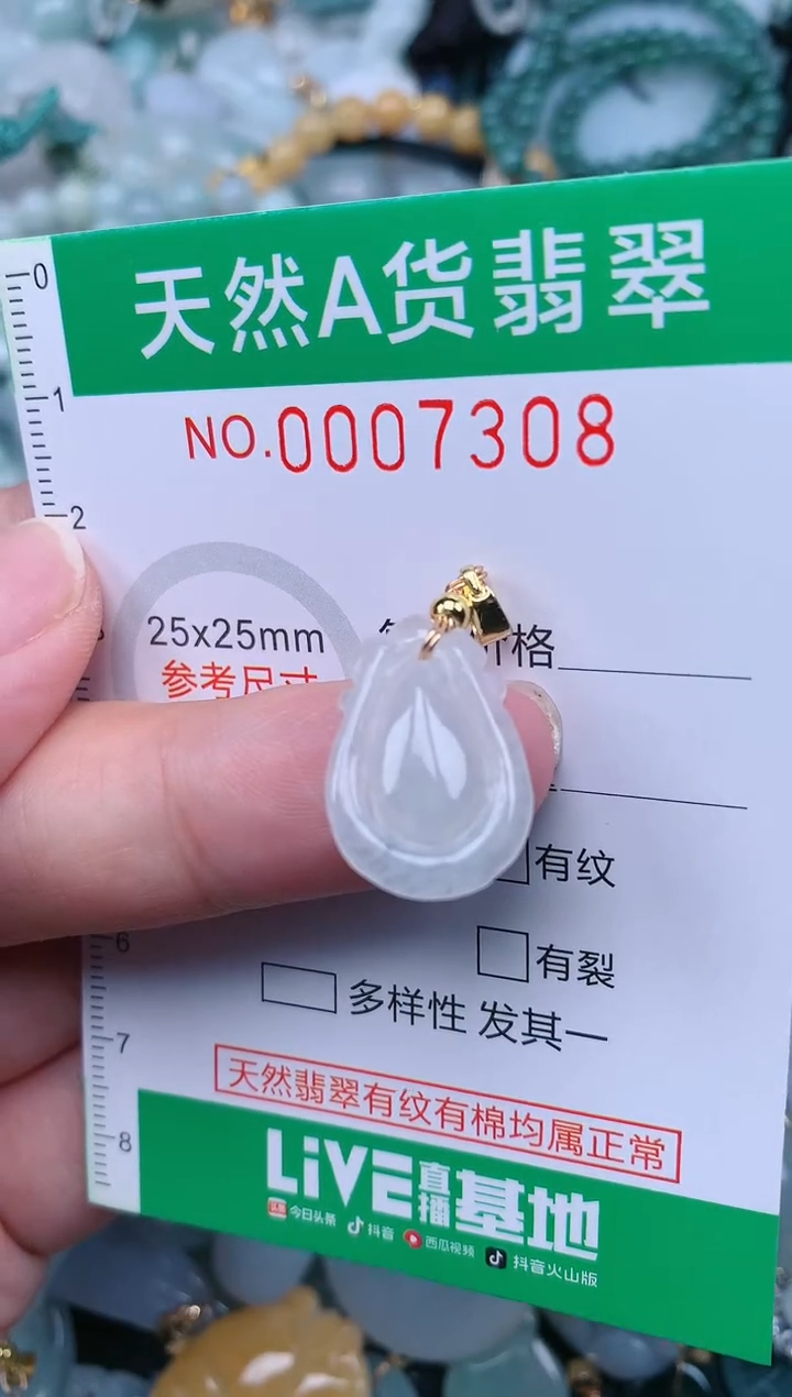 翡翠未镶嵌颈饰.0007308