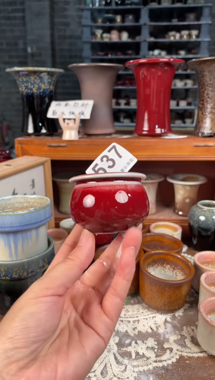 瓷片537小芳直播编号