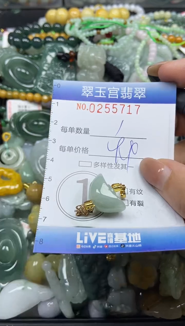 颈饰未镶嵌翡翠闪购C0255717