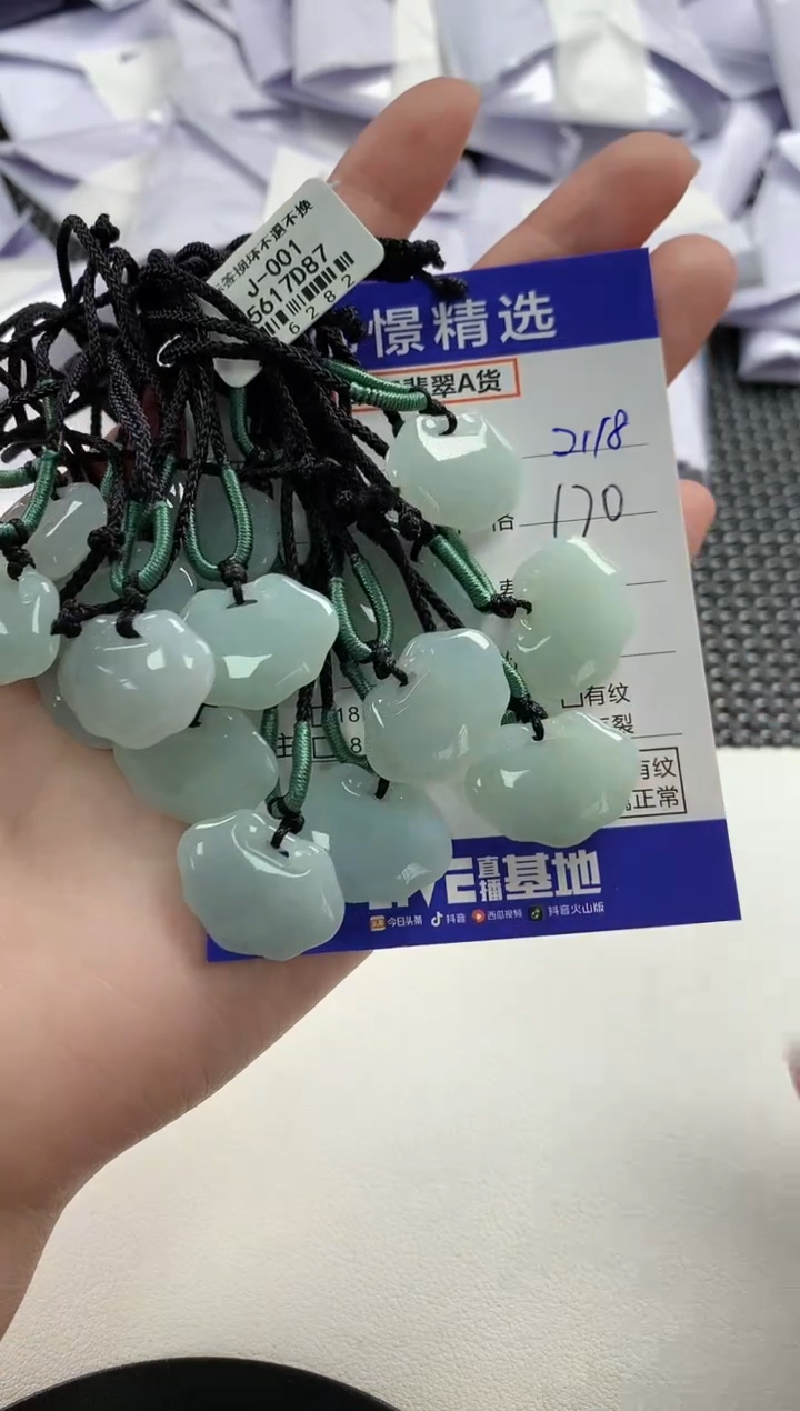 【闪购商品】翡翠颈饰未镶嵌17多样性发货其一