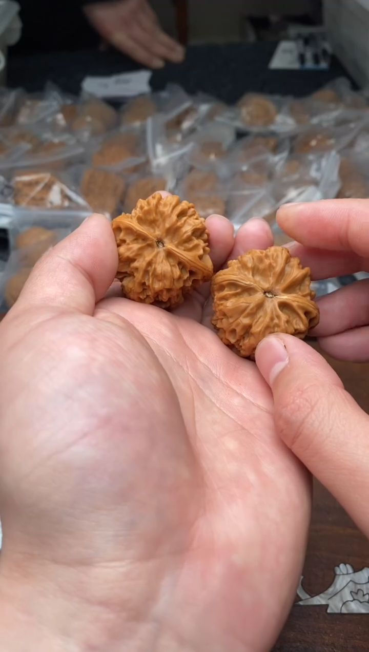 【闪购商品】文玩核桃把件A131号36尺野牛