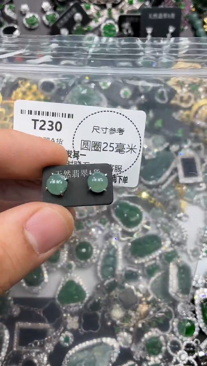 颈饰未镶嵌翡翠T230耳钉