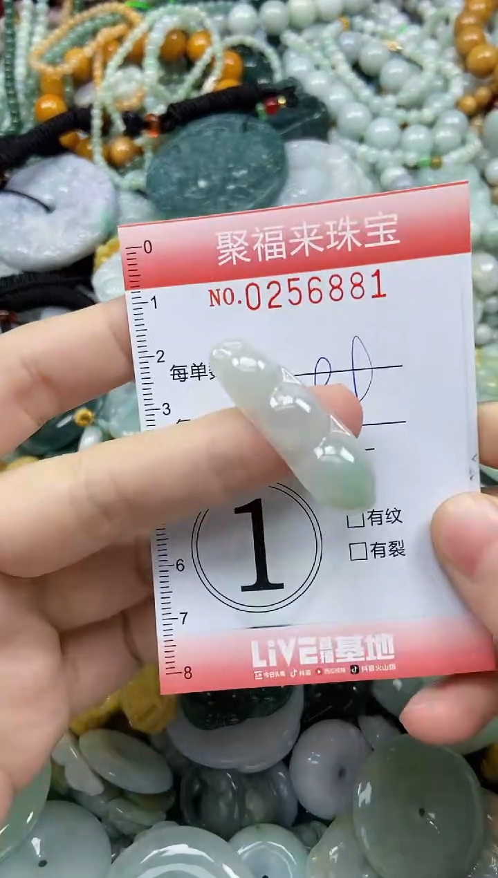 未镶嵌挂件翡翠闪购0256881