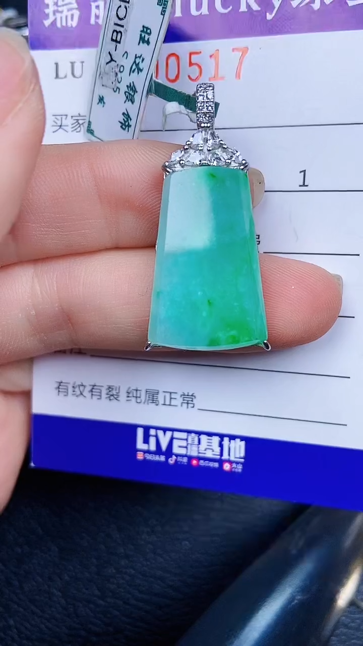 颈饰银S925镶嵌翡翠0517