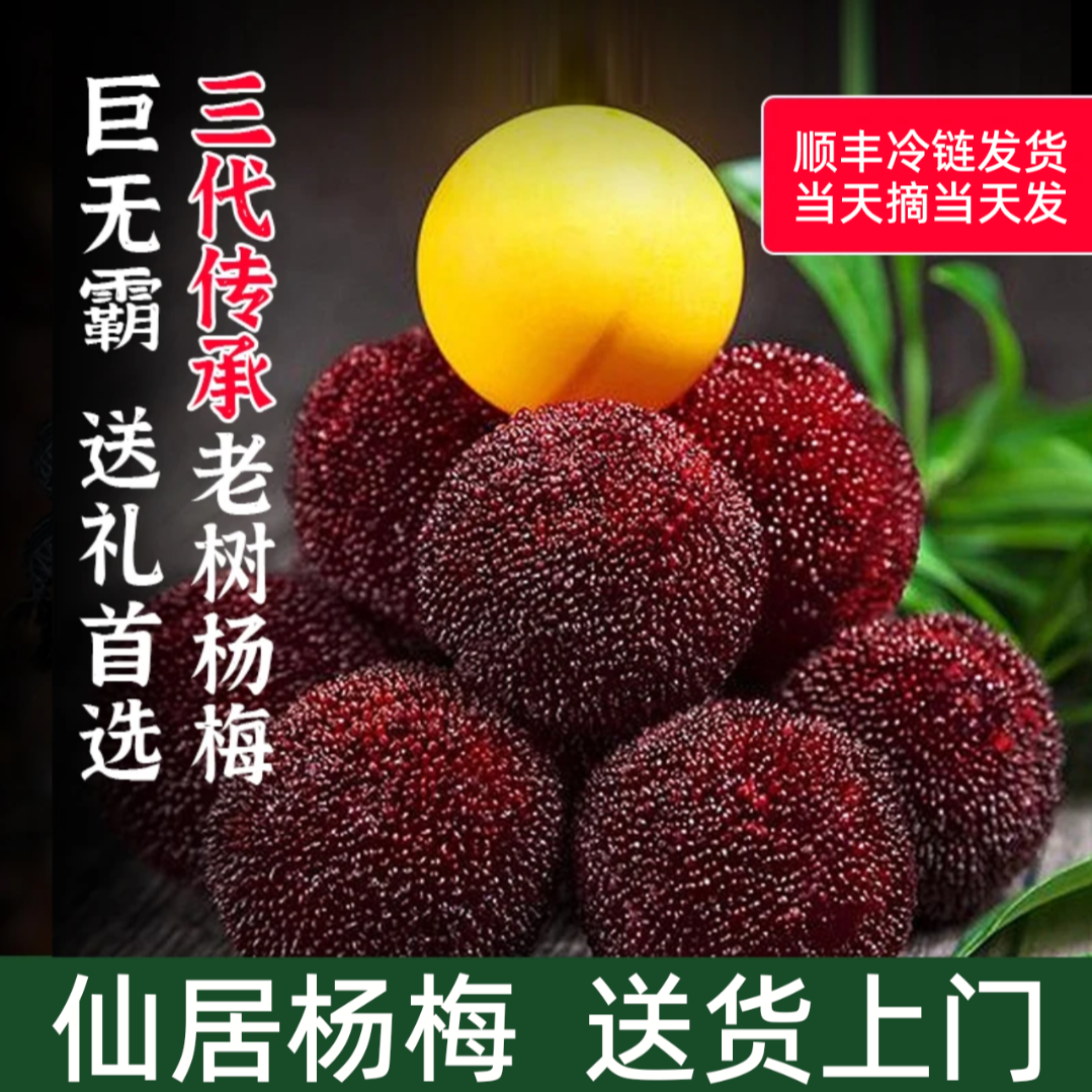 仙居东魁杨梅鲜果正宗东魁杨梅新鲜杨梅当季孕妇水果现摘现发