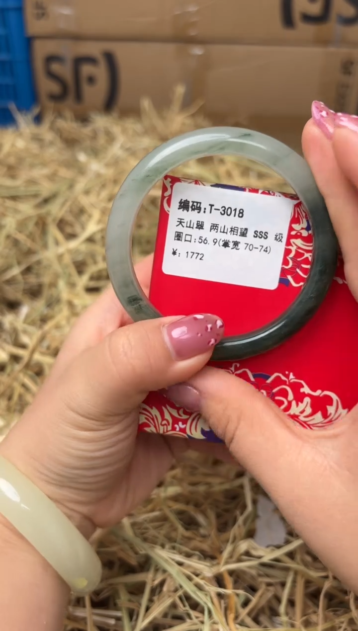 未镶嵌手镯石英质玉D-3018