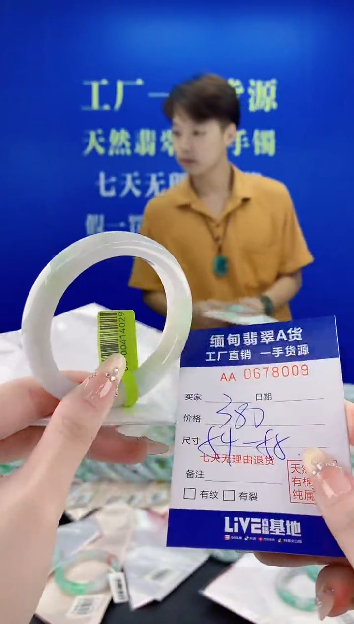 未镶嵌手镯翡翠09