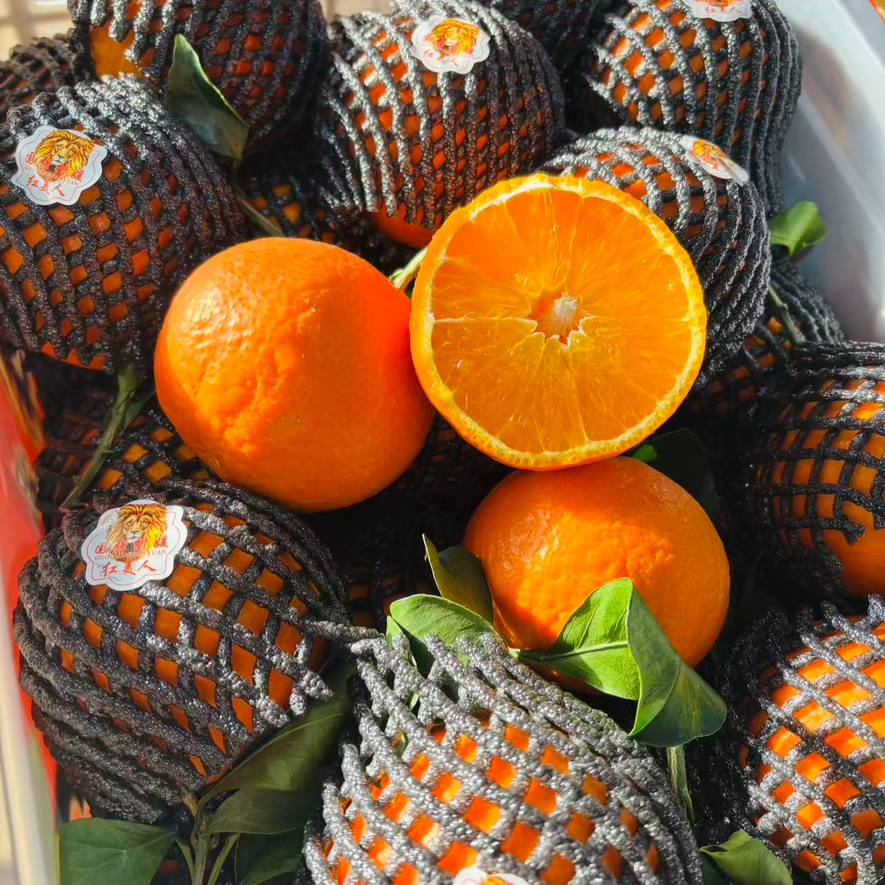 【散装5斤】红美人果冻橙散装5斤左右