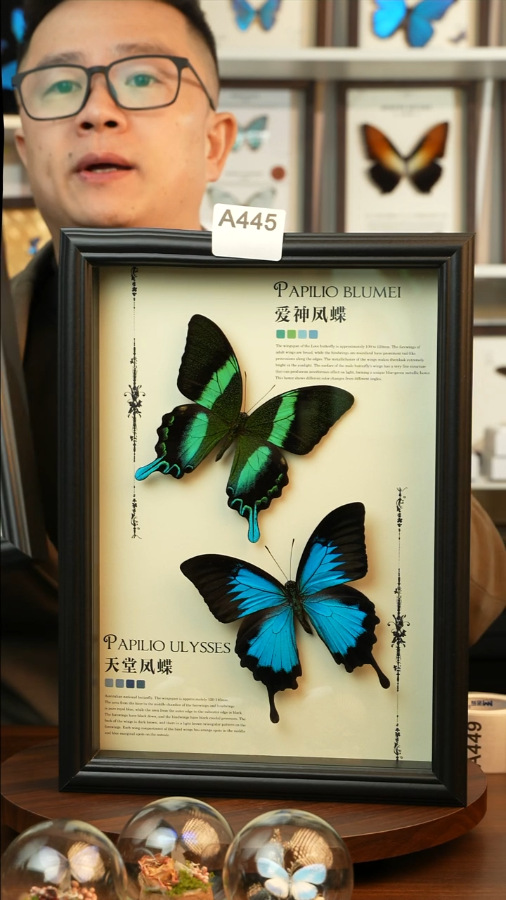 爱神凤蝶天堂凤蝶组合款(A4欧式黑框)A446