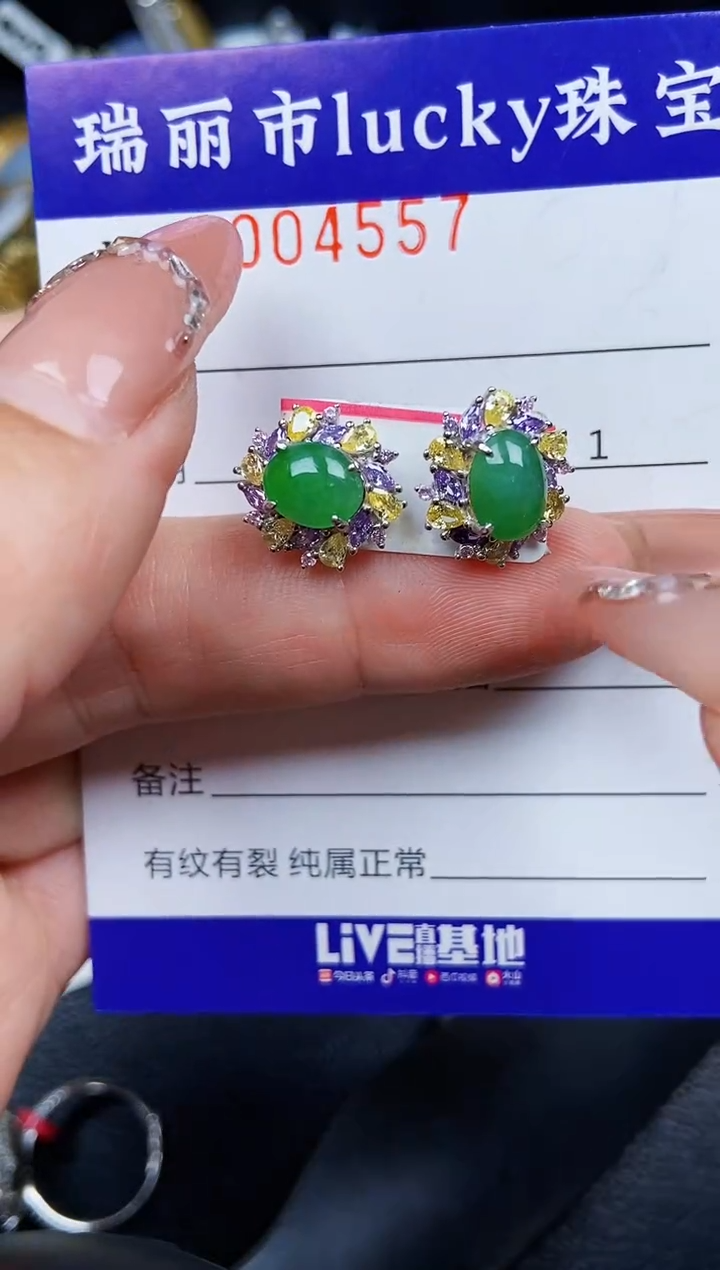 翡翠银S925镶嵌颈饰4557