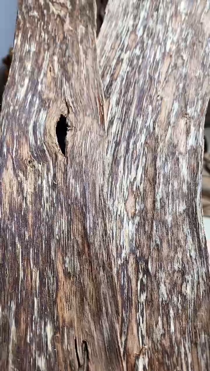 【闪购商品】沉香手把件芽庄沉香原料30克