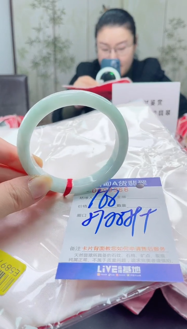 未镶嵌手镯翡翠2