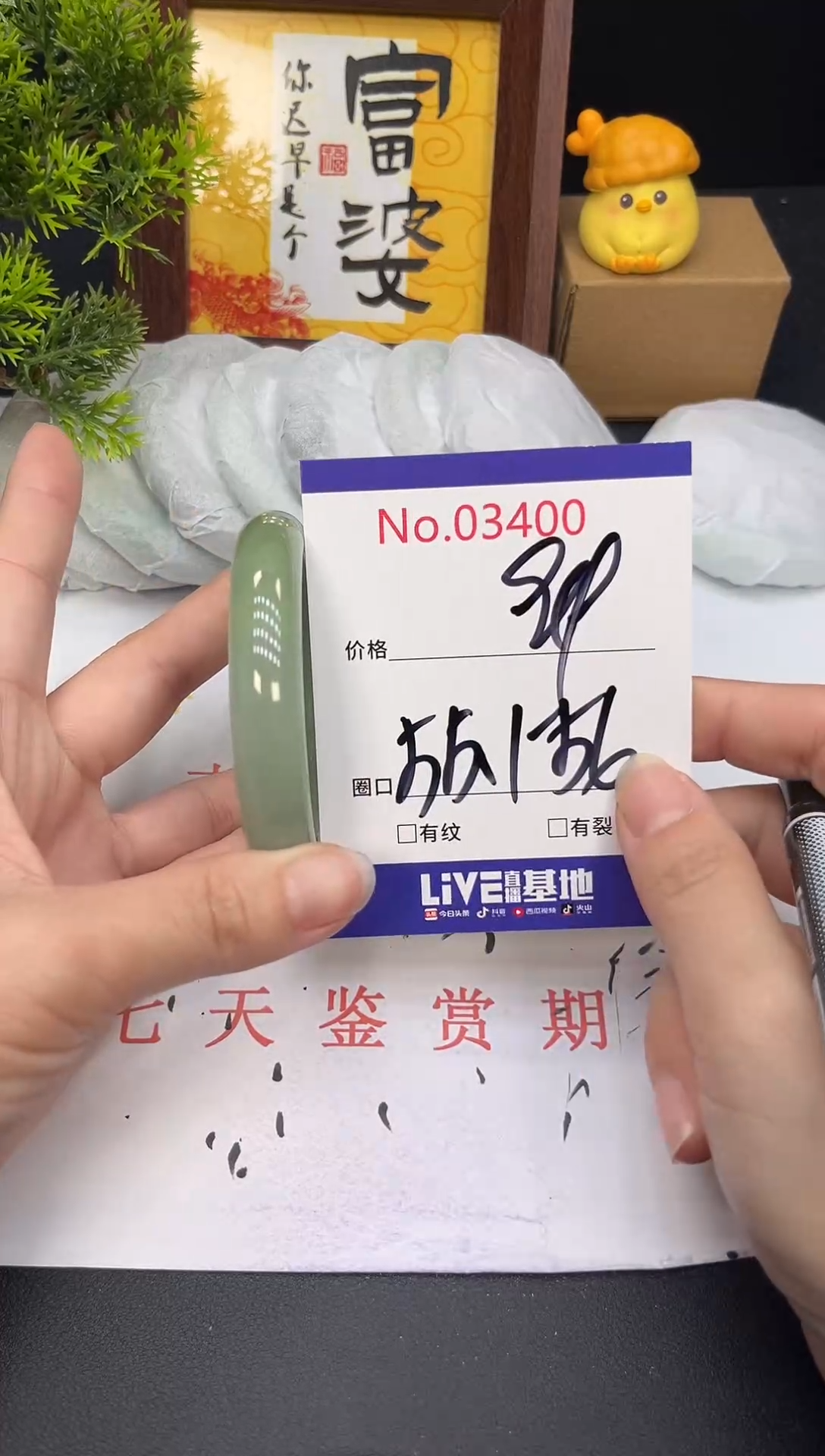 未镶嵌手镯翡翠3400