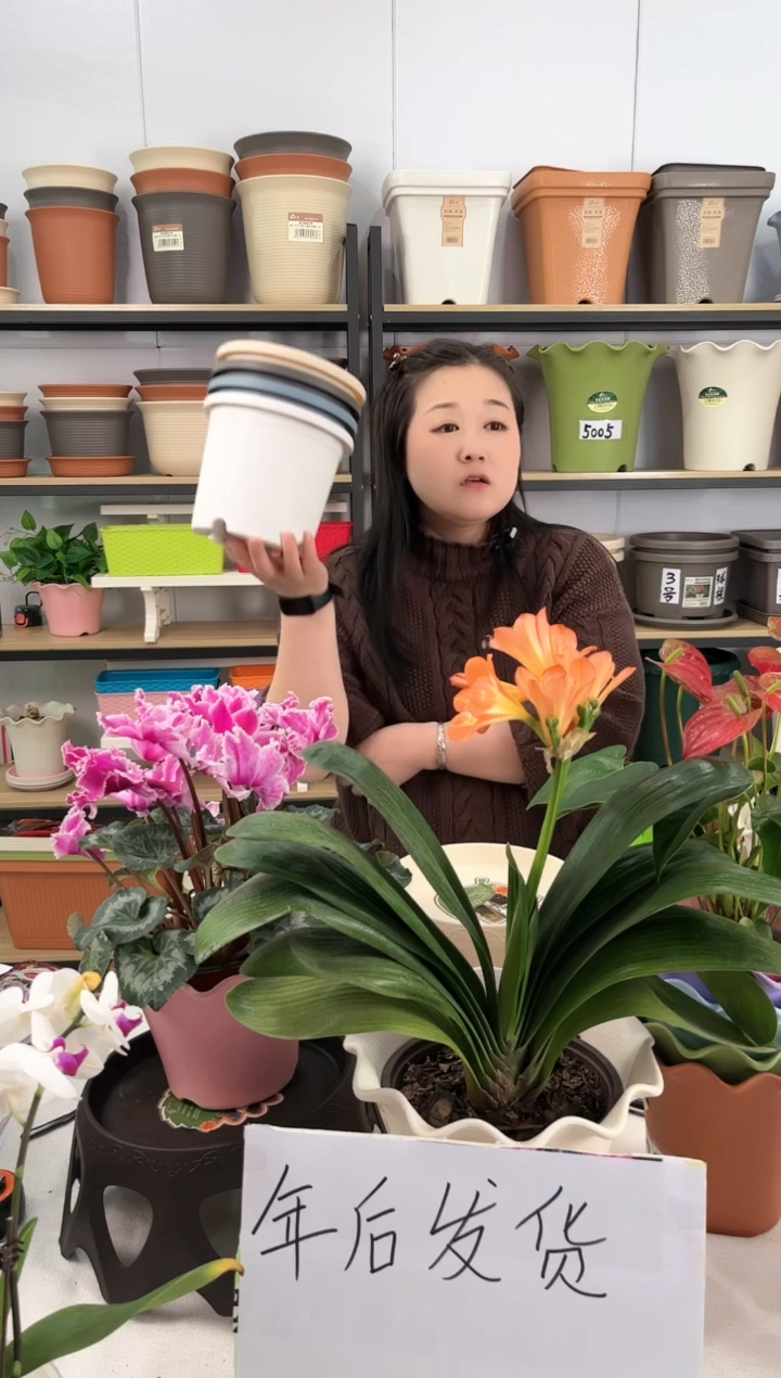 【闪购商品】树脂瑕疵四季盆2号5个无托盘