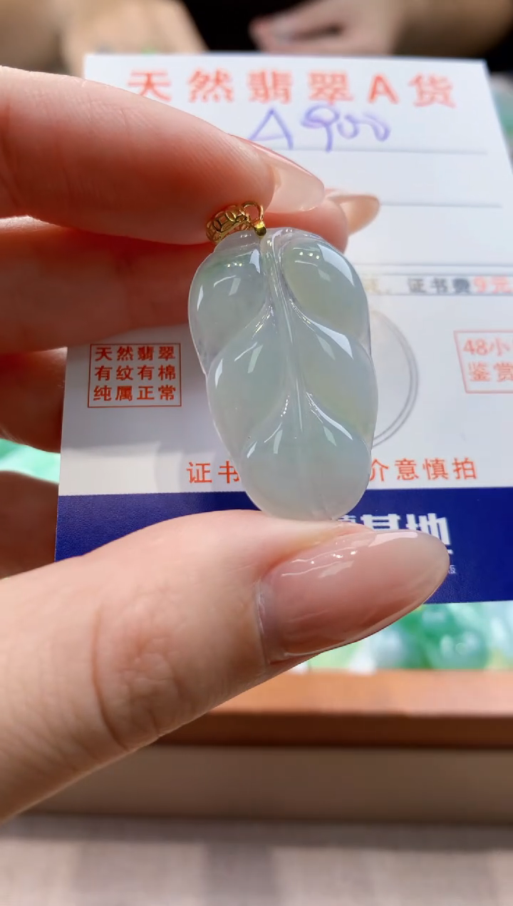 颈饰未镶嵌翡翠天然A货翡翠挂件