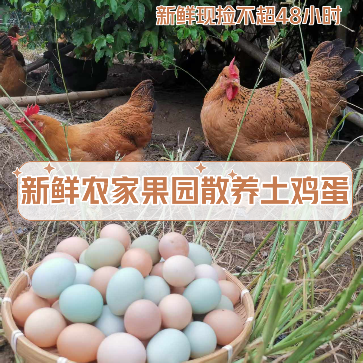 【绿壳粉壳混装】农家果园散养现捡新鲜营养健康初生土鸡蛋顺丰包邮