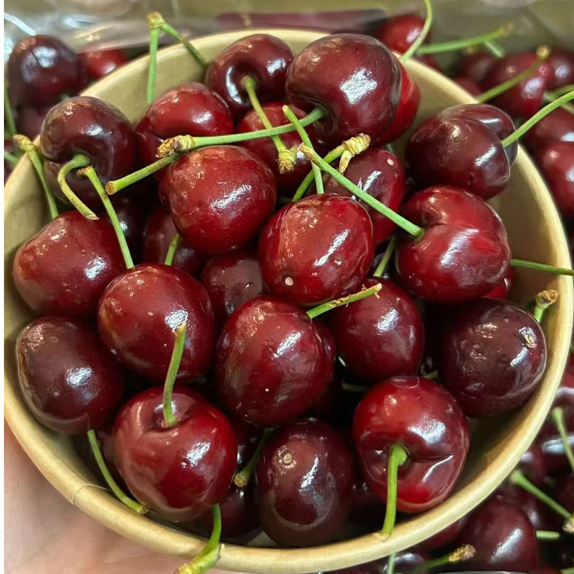 campolsol智利空运桑提娜车厘子J内附果径卡