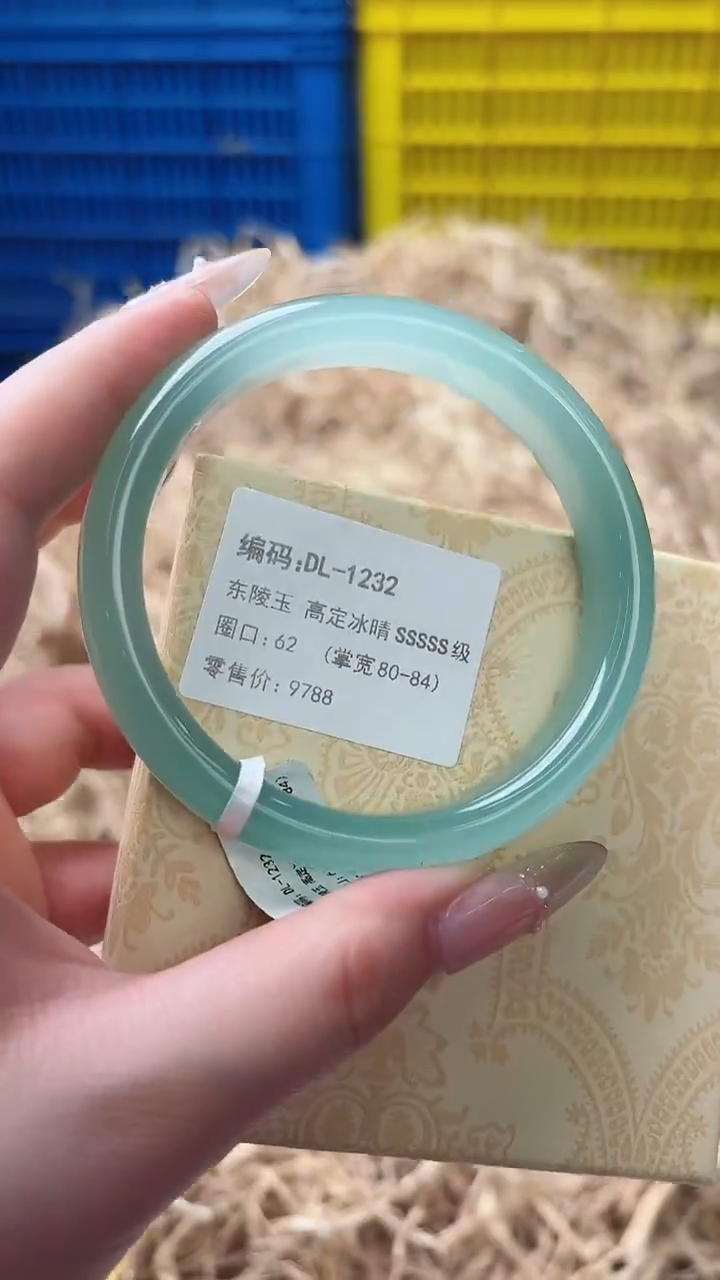 未镶嵌手镯石英质玉DL-1232