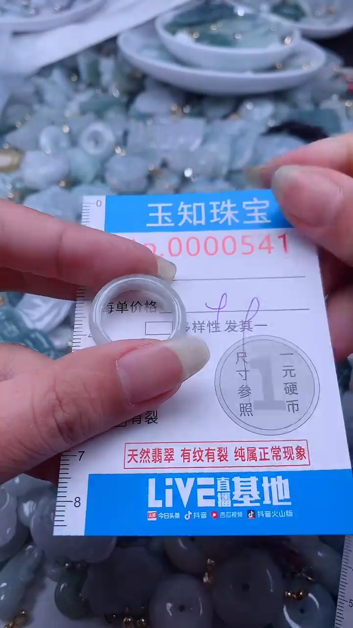 翡翠未镶嵌吊坠(不含链)541