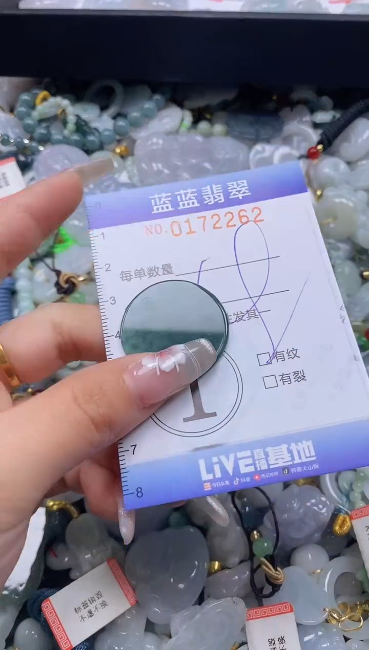 【闪购商品】翡翠颈饰未镶嵌闪购0172262