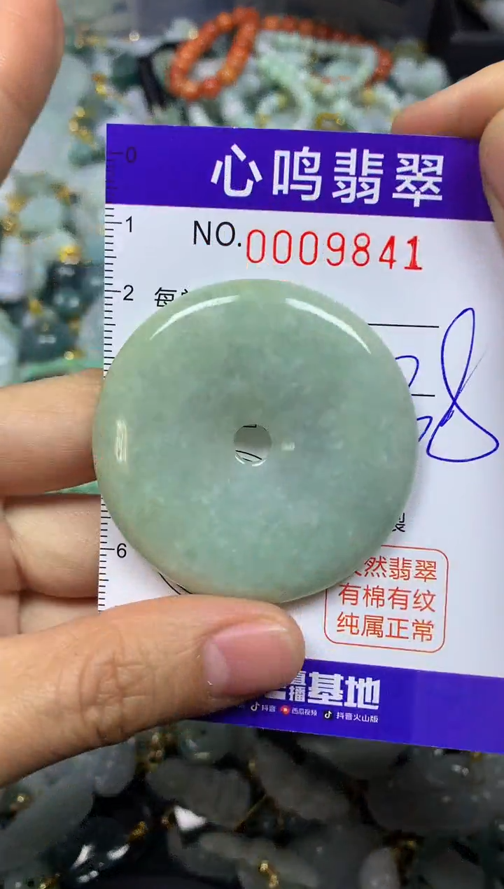 【闪购商品】翡翠颈饰未镶嵌闪购009841