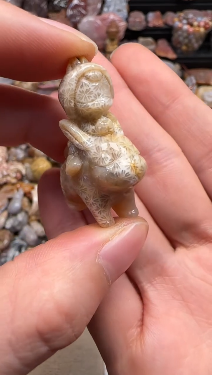 【闪购商品】硅化珊瑚（珊瑚玉）颈饰未镶嵌477