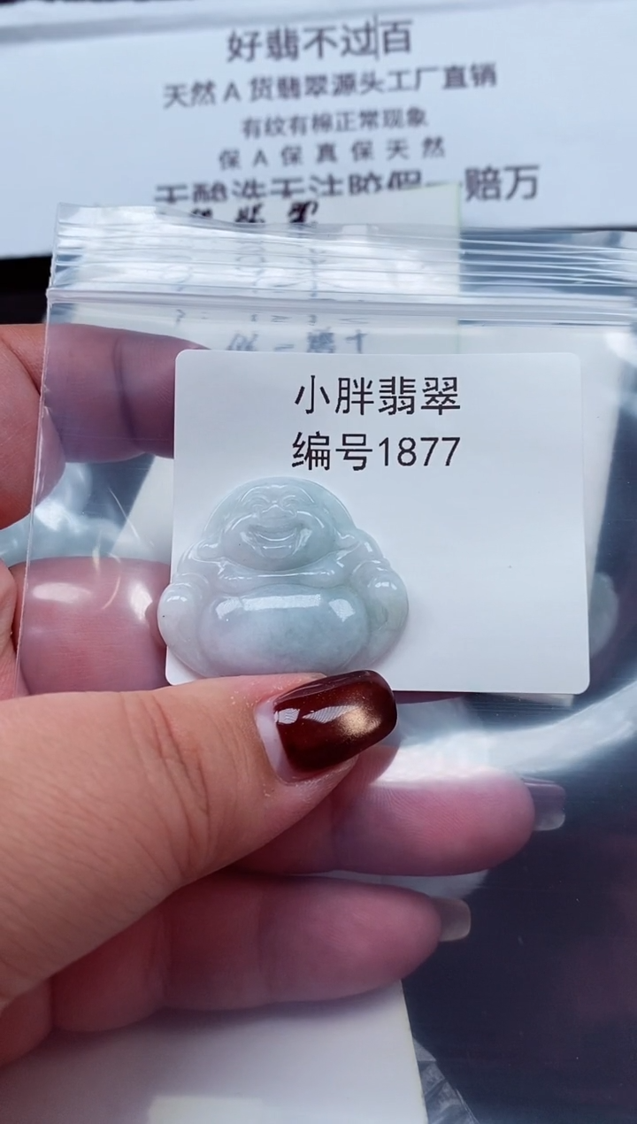 颈饰未镶嵌翡翠缅甸天然A货翡翠1877