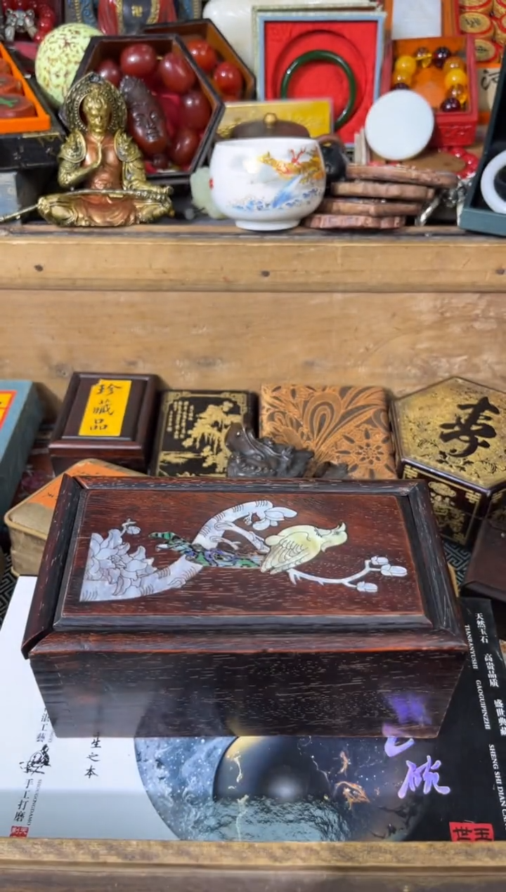 【闪购商品】龙龙龙龙龙龙龙龙