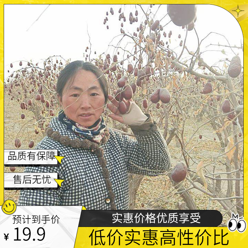 2025新疆和田大枣直播间福利果——2～3厘米左右，无加工土枣产地直发