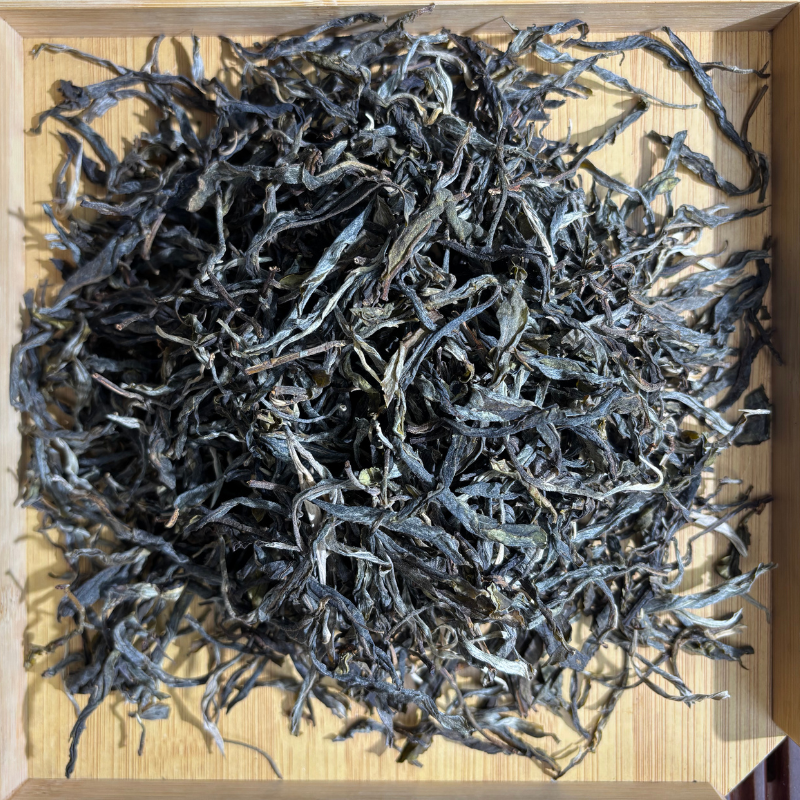 【小黑普洱】2025年冰岛老寨古树秋茶散料 普洱茶生茶